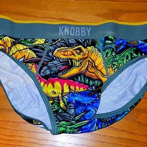 DINOSAUR 🦖 briefs